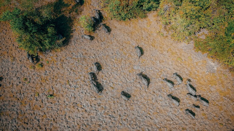 Ankunft im Okavango‑Delta – Safari‑Ausblicke