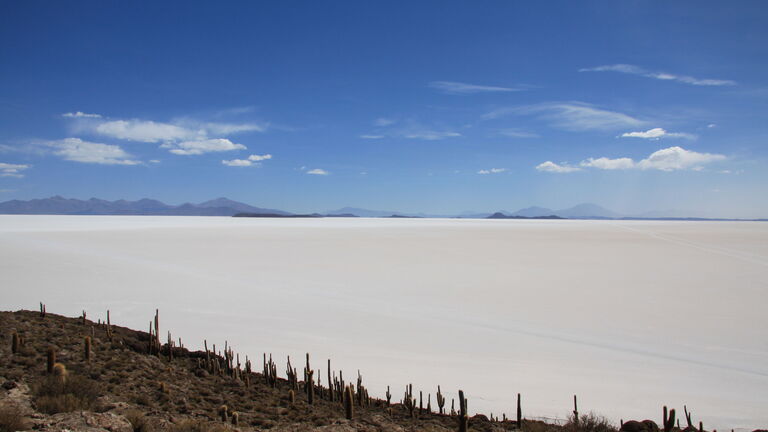 Salzpfanne Uyuni, Insel Incahuasi und Markt Colchani