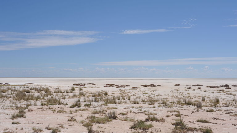 Makgadikgadi‑Salzpfannen entdecken