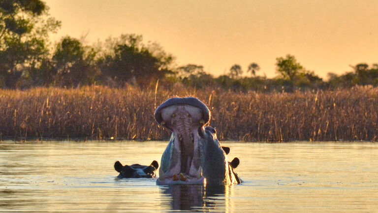 Letzter Tag im Okavango – optionale Rundflugs