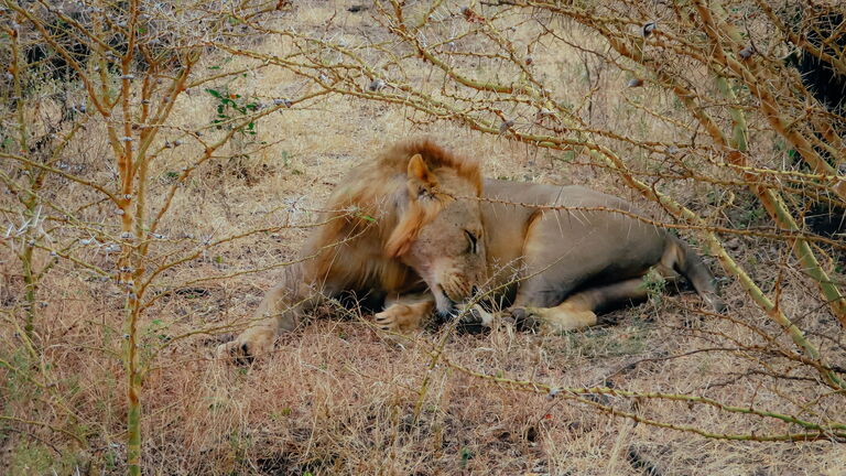 Naivasha, Lake Nakuru und das Kinderprojekt Malaika